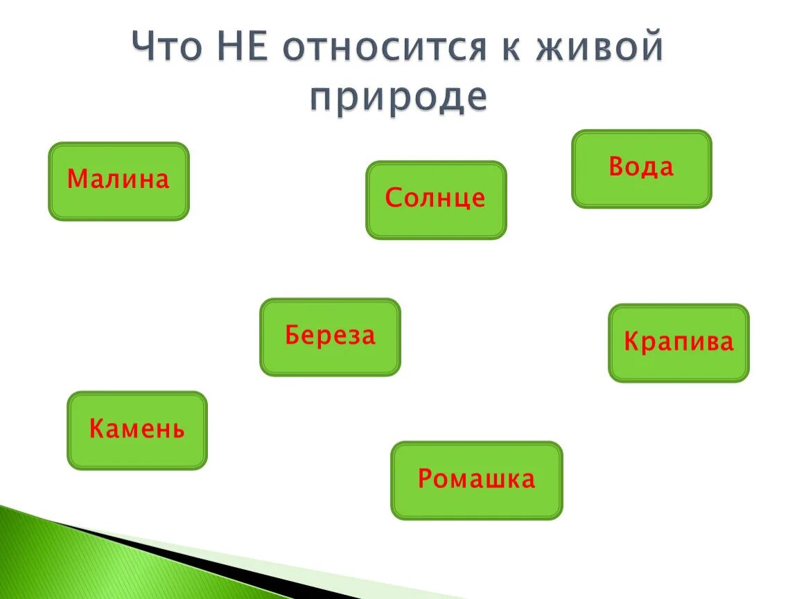 Что относится к живой природе. Что не относится к живой природе. Что относят к живой природе. Относятся ли растения к живой природе.