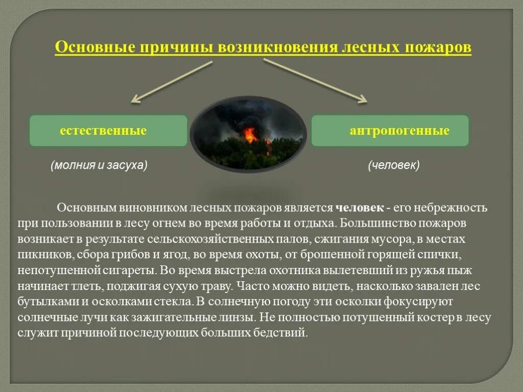 Факторы возникновения лесных пожаров. Антропогенные причины возникновения лесных пожаров. Природные причины возникновения лесных пожаров. Естественные причины возникновения лесных пожаров. Основные причины возгорания в лесу.