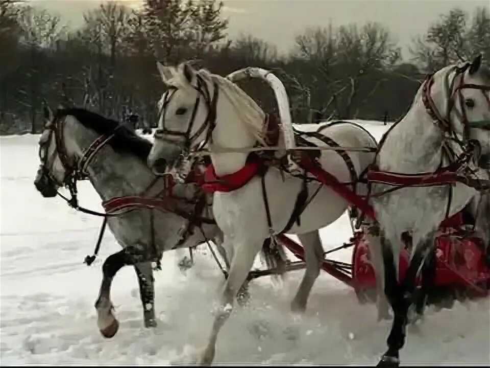 Еще тройка вяземский. Васильев тройка. Русская тройка Нижний Новгород.