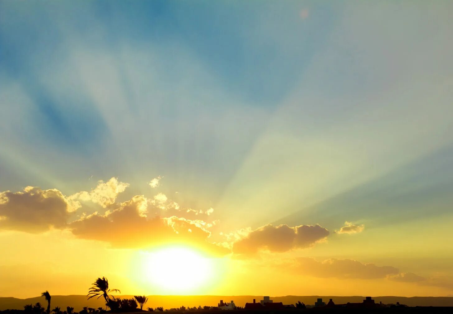 Солнечное небо фото. Утреннее небо. Лето утро облака. Летнее небо с облаками. Красивое небо.