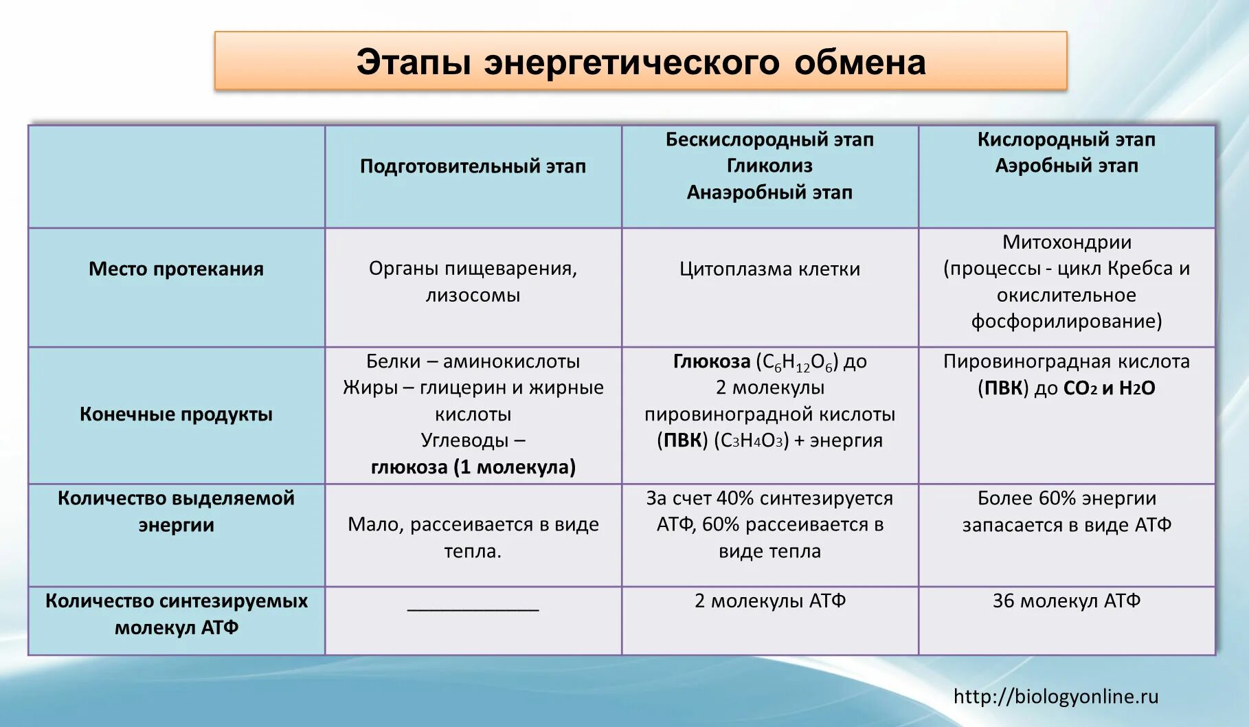 Где происходят этапы энергетического обмена. Подготовительный бескислородный кислородный этапы таблица. Схема процессов энергетического обмена. Этапы энергетического обмена таблица биология. Этапы энергетического обмена промежуточные вещества.