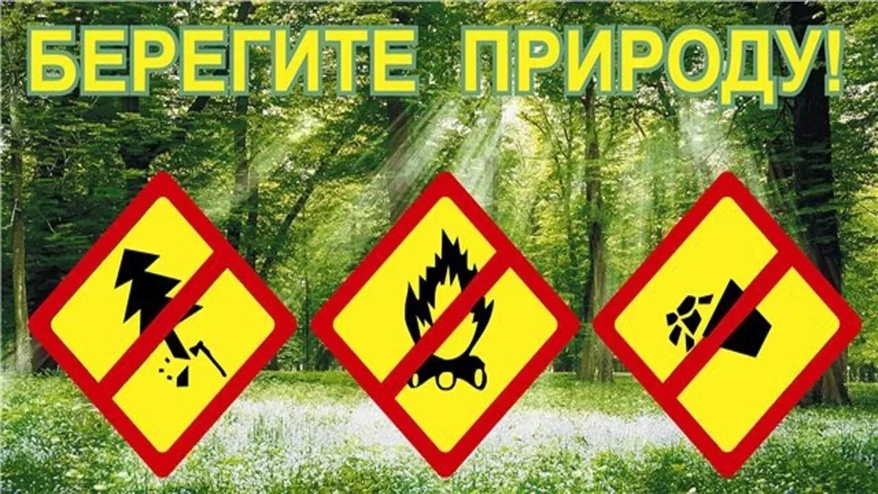 Беречь нету. Беречь природу. beregat prirodu. береги природу картинки. надпись береги природу.