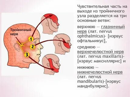 Воспаление тройничного нерва греть можно