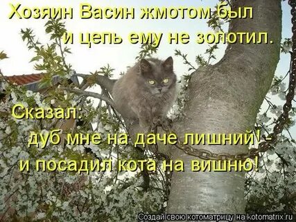 Эй мужик