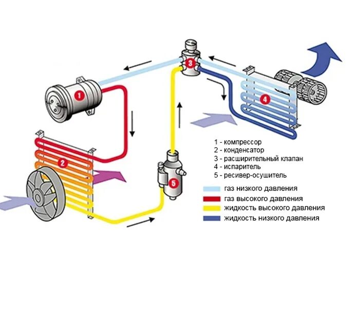 Схема заправки кондиционера автомобиля. Схема автомобильного кондиционера. Схема работы кондиционера в автомобиле. Устройство кондиционера автомобиля.