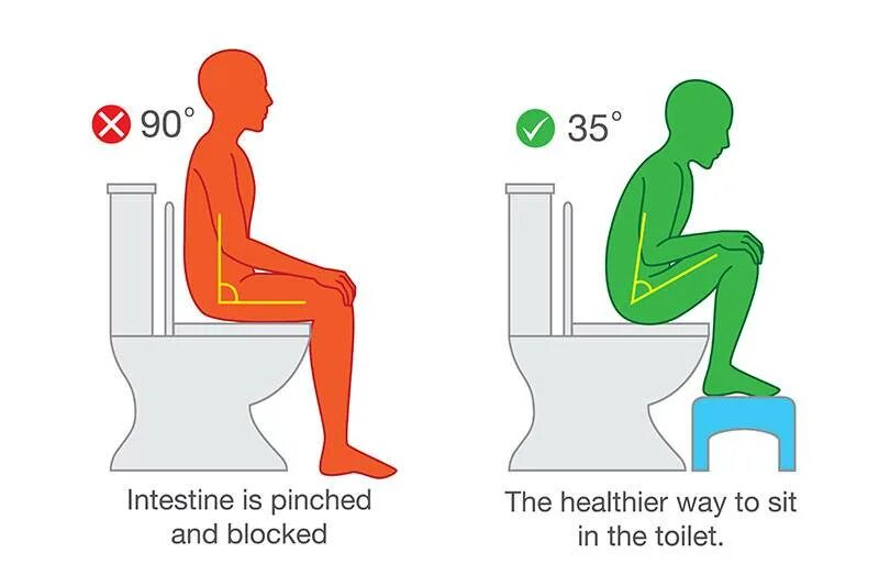 Пить воду стоя или сидя. Правильная поза для туалета. Правильная поза для дефекации. Правильная поза для опорожнения кишечника. Правильная поза для туалета по большому.