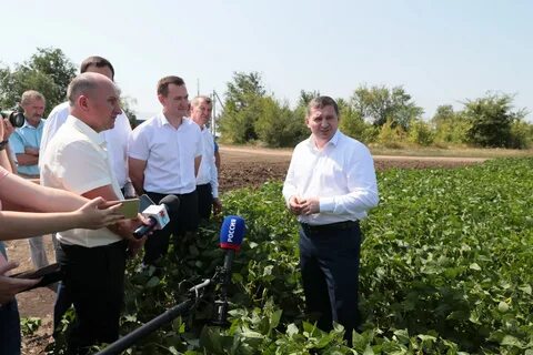 Апк глава