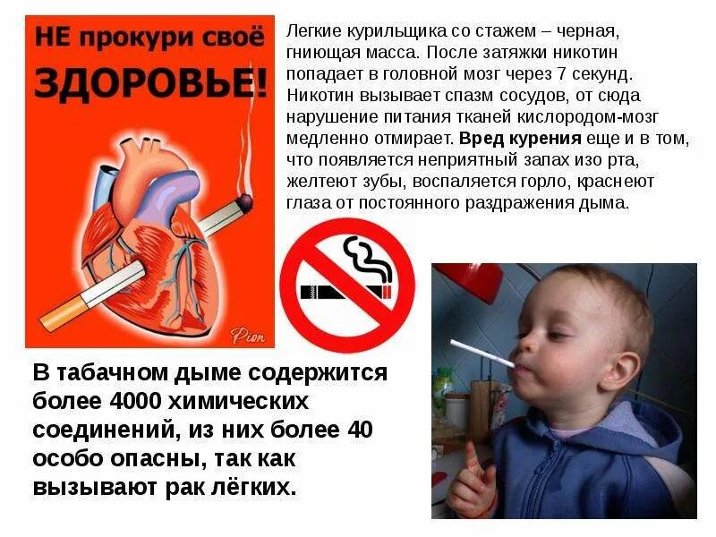 Никотин вызывает рак. Никотин вызывает рак