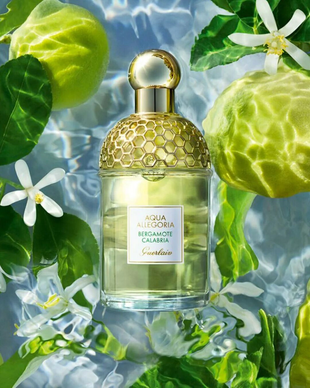 Guerlain Aqua Allegoria Bergamote. Guerlain Aqua Allegoria бергамот. Guerlain Aqua Allegoria Bergamote Calabria EDT 75ml. Guerlain Aqua Allegoria. Aqua allegoria de guerlain