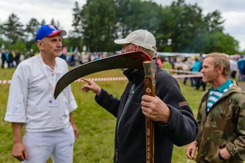 Прогноз арти