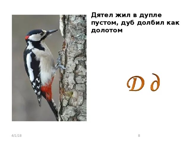 Сколько живут дятлы. Дятел на дубе. Дятел жил в дупле пустом. Дятел долбит дупло. Дятел дуб долбил долбил.