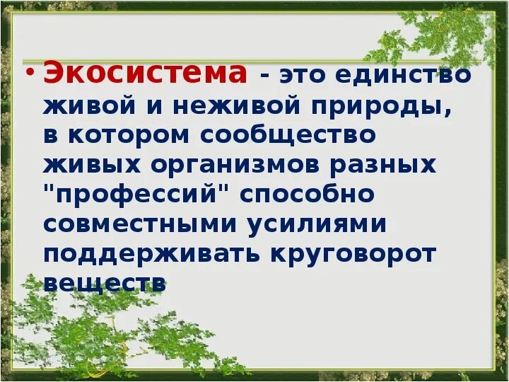 Единство живой и неживой природы. Вывод о единстве живой природы. Экосистема болота вывод. Экосистема Живая неживая природа. Рассказ почему лес называют сообществом