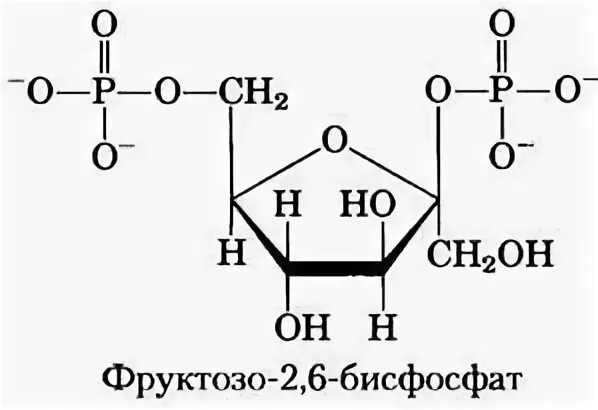Фруктозо 2 6 дифосфат. Фруктозо 2 6 бисфосфат регуляция. Фруктозо 1 6 бисфосфатаза реакция. Роль фруктозо-2.6-бисфосфата.