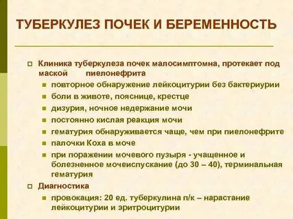 Почечная больница