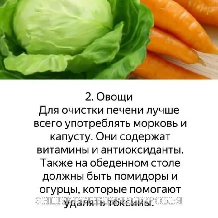 Капуста для печени польза. Продукты полезные для печени. Продуктыполезныед япечени. Какие продукты полезно для печени. Овощи для восстановления печени.