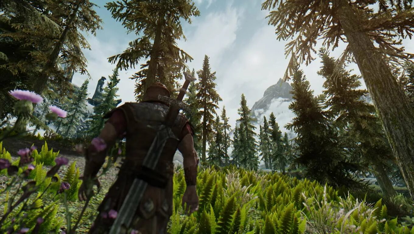 Skyrim graphics. Skyrim производительный ЕНБ. Скайрим с графическими модами. Скайрим максимальная Графика. Скайрим улучшение.