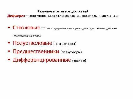 Регенерация тканей