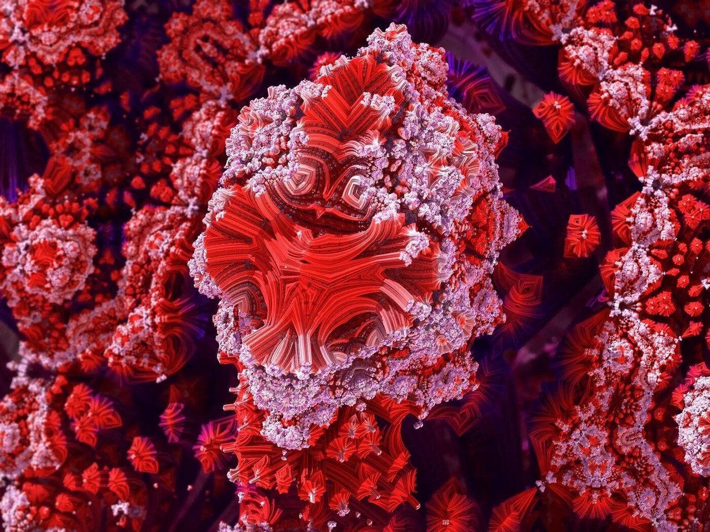 Красный коралл кишечнополостные. Актинии барьерный риф. Корал артишок коралловый. Коралловый риф полипы актинии. Большой барьерный риф коралловые полипы.