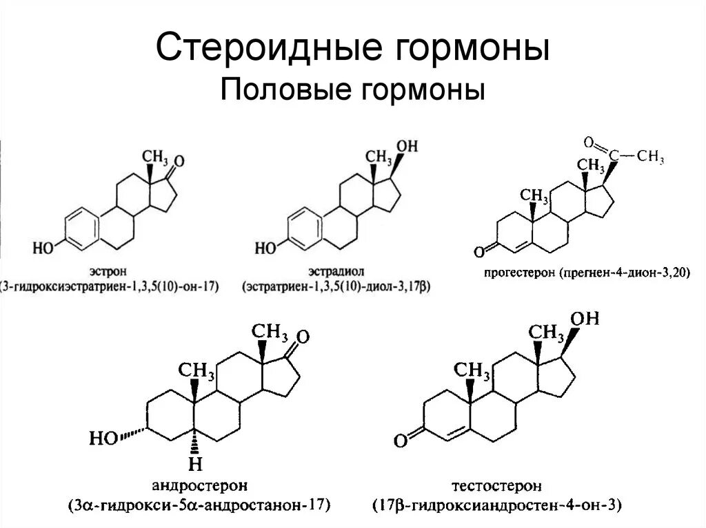 Как понизить эстрадиол у мужчин. Структурная формула половых гормонов. Эстрон формула биохимия. Структурные формулы мужских половых гормонов. Химическая структура половых гормонов.