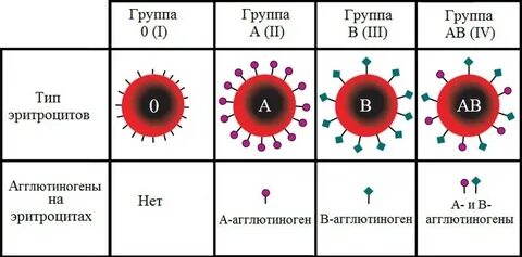 Какая твоя группа