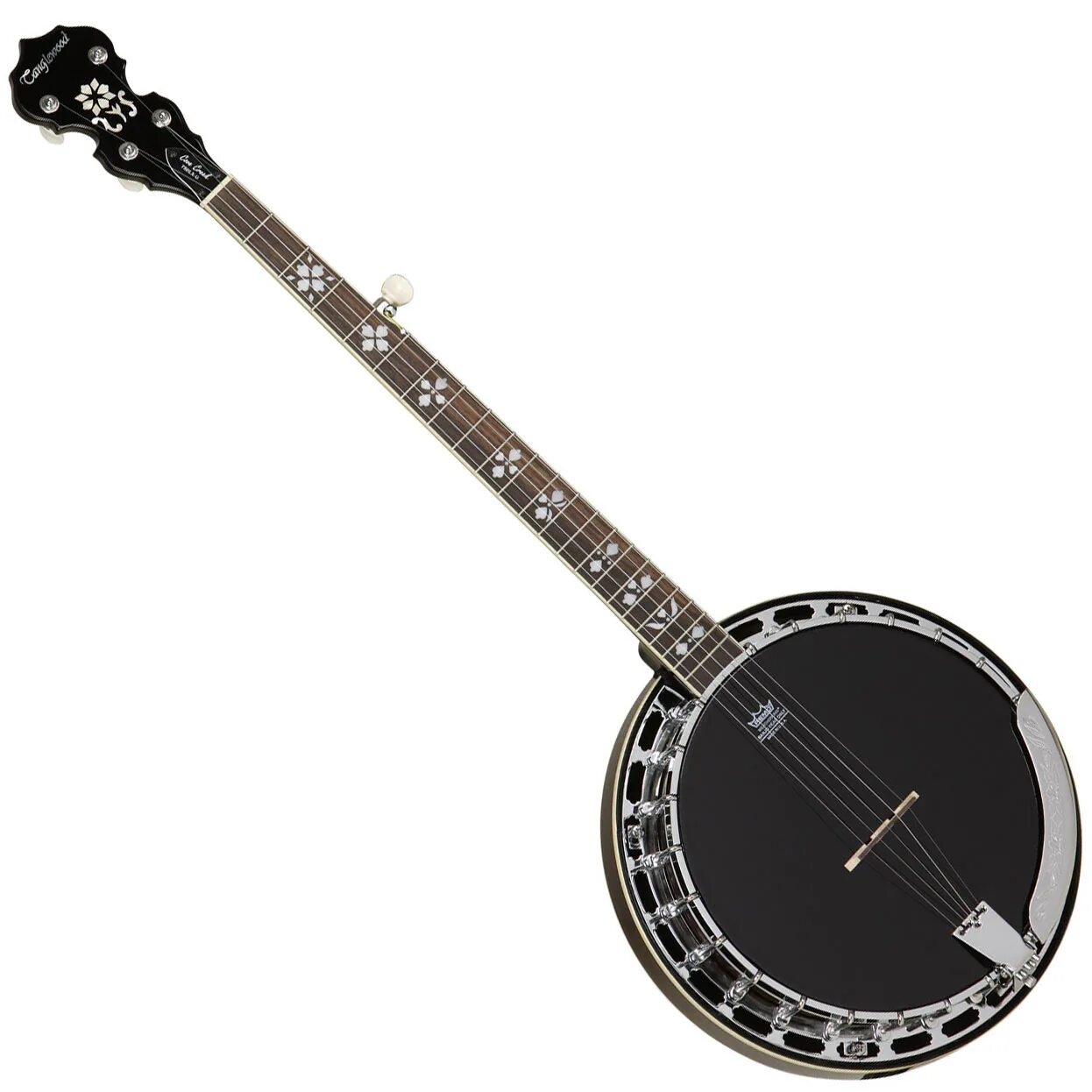 банджо струнные щипковые музыкальные инструменты. музыкальные инструменты америки. национальный инструмент америки. банджо 6 струн. музыкальные инструменты америки.