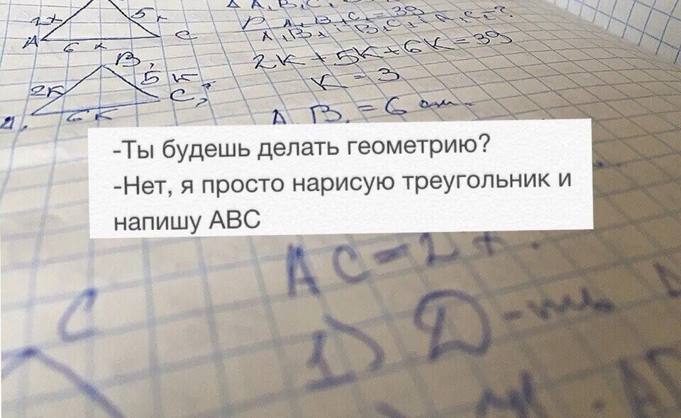 Как понять геометрию. Анекдоты про геометрию смешные. Цитаты про геометрию смешные. Шутки про алгебру и геометрию. Ненавижу алгебру и геометрию.