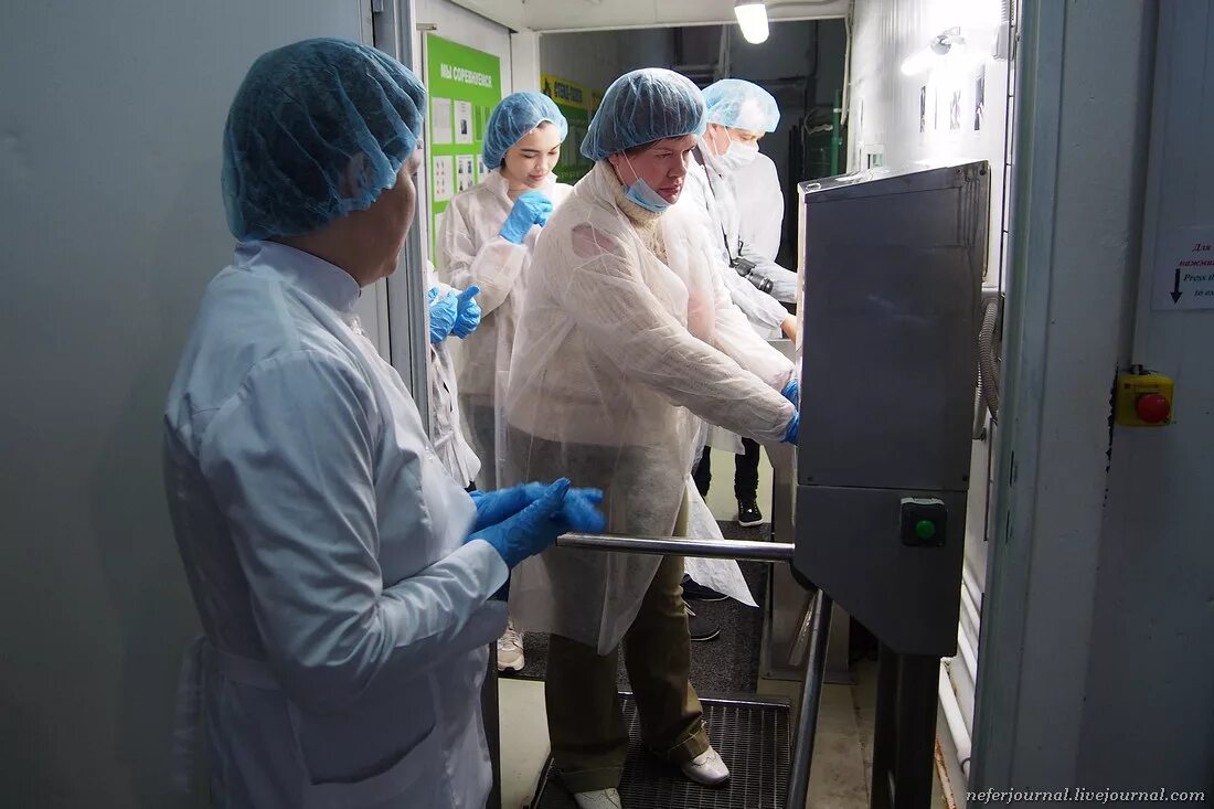 ореховая компания климовск