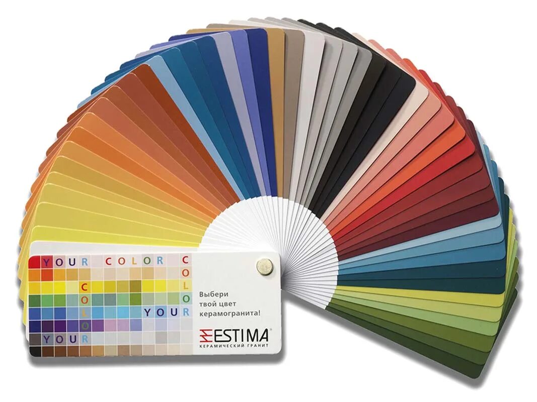 Color your world. Дэвид зайл. Your color. Your color. Your color.