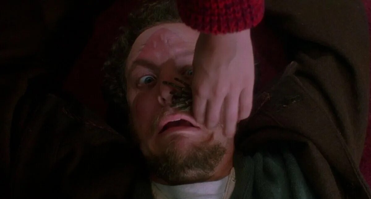 1 дома паук. большие пауки в доме. паук на стене. дэниел стерн один дома 2. атака пауков фильм 2002 тарантул.