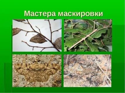 Маскировка примеры