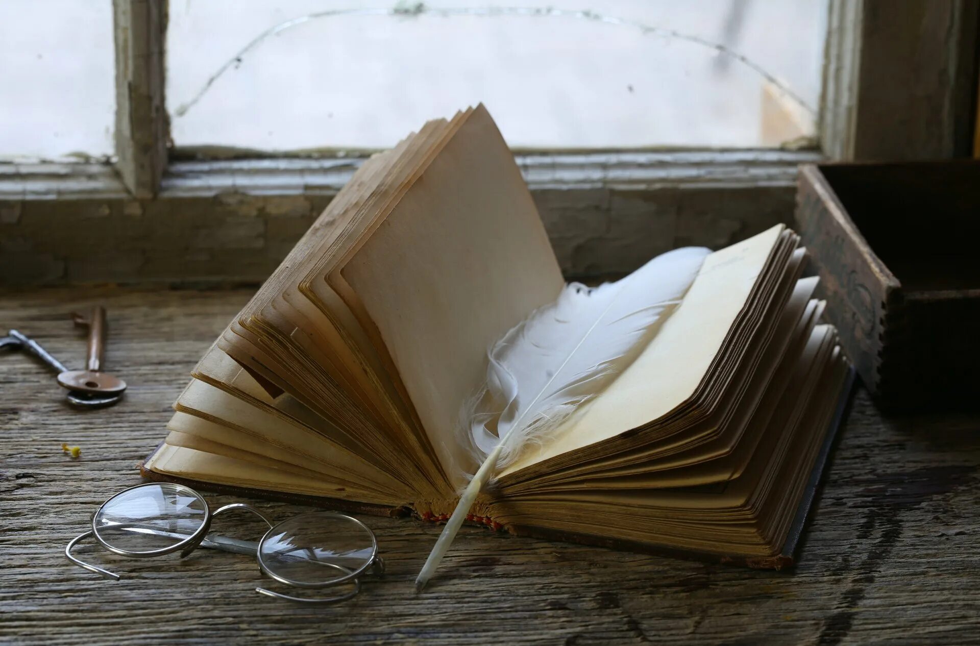 Раскрыла книгу