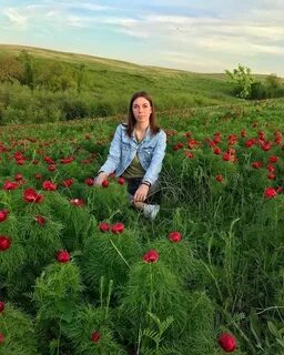 Шевченко волгоград