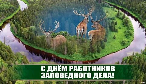 День заповедного работника