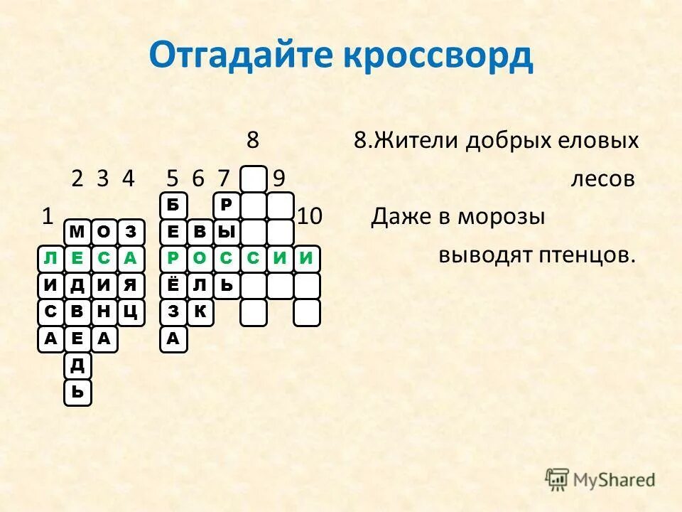 кроссворд хвойные деревья. небольшой чаще лиственный лес кроссворд. кроссворд деревья. небольшой чаще лиственный лес кроссворд. кроссворд на тему дере.