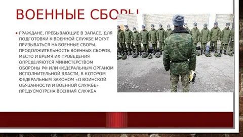 На какой срок сборы