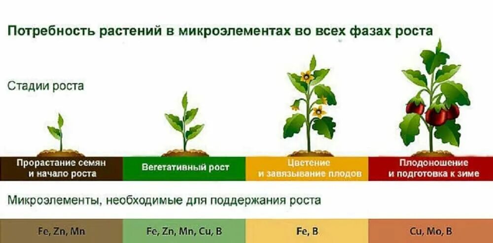 Удобрения повышения урожайности. Влияние микроэлементов на растения. Удобрения для растений. Роль микроэлементов в жизни растений. Влияние удобрений на растения.