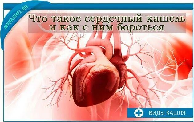 Как отличить сердечный. Препараты от сердечного кашля. Бывает ли сердечный кашель. Сердечный кашель симптомы. Кашель при сердце.