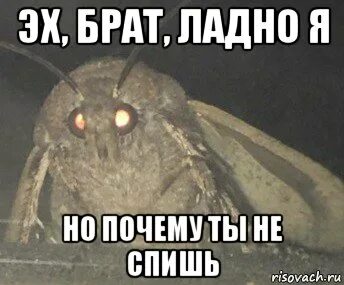 Почему не спишь