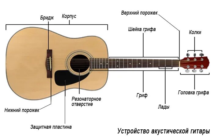 Устройство классической гитары схема. Строение гитары классической схема. Строение гитары акустической. Из чего состоит гитара акустическая схема.