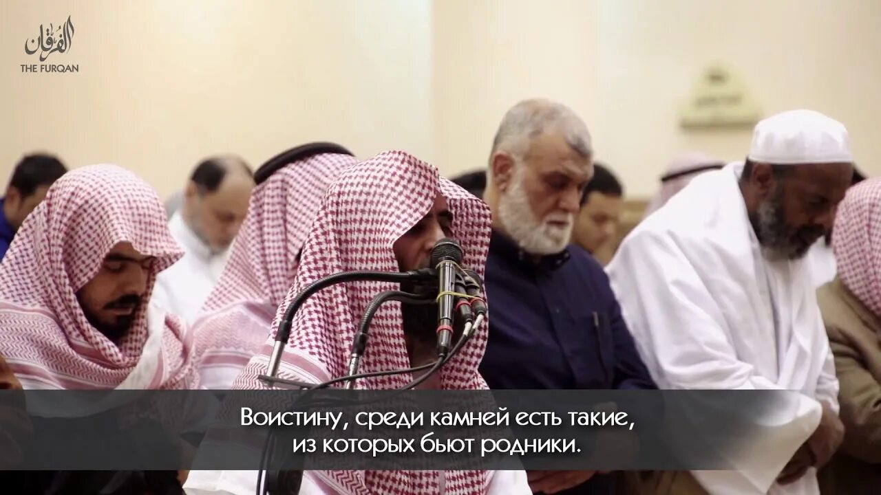 Люхайдан чтение. Шейх мухаммад люхайдан. Сура косметика. Мухаммад люхайдан чтение корана. Сура аль бакара люхайдан.