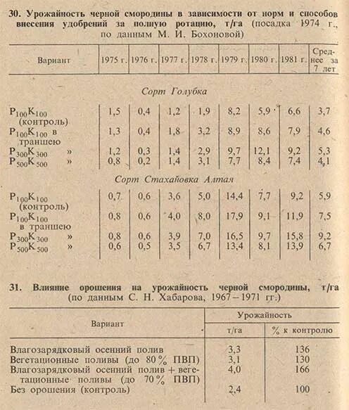 Урожайность смородины с 1 га. Урожайность черной смородины с 1 га. Урожай с гектара смородины. Черная смородина урожайность с 1 га в России.