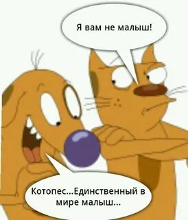Котопес текст