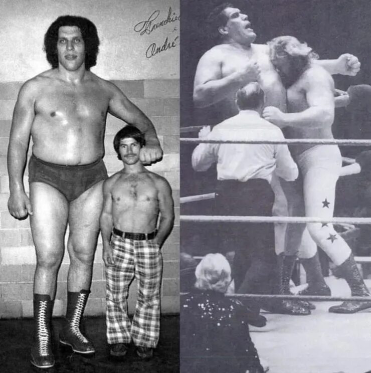 Гигант масс. Красные гиганты характеристика. Эволюция звезд сверхгигантов. Красные гиганты характеристика таблица. Красный гигант звезда.