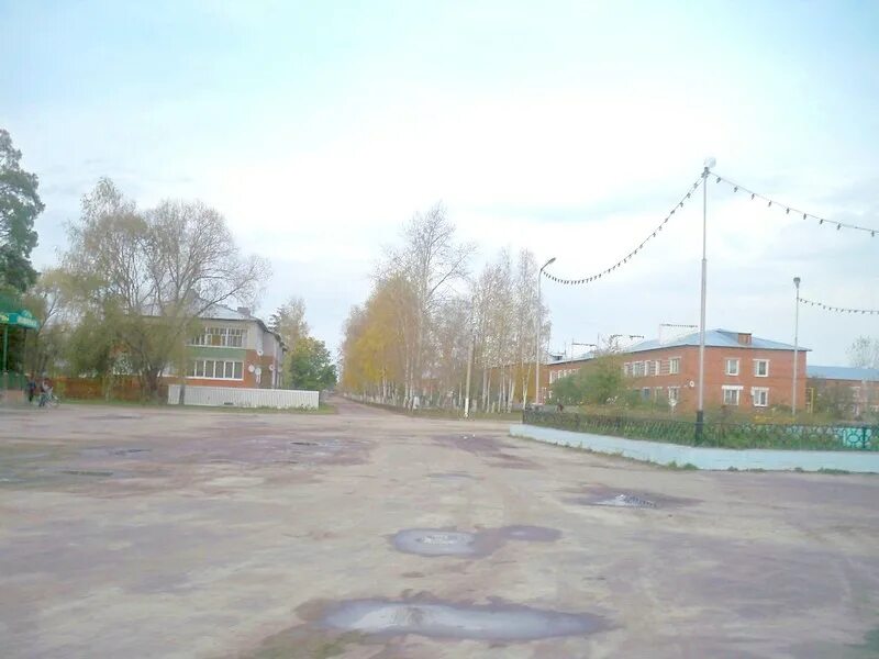 Московская область, г. Московская область, г. Поселок радовицкий мох. Поселок радовицкий мох. Посёлок радовицкий московская область.