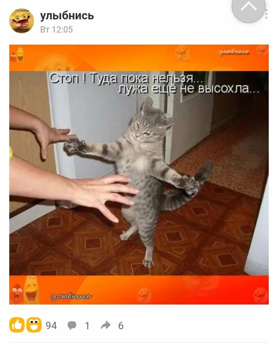 Не верь коту он ел