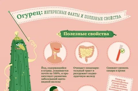 Какая польза от огурца для организма человека