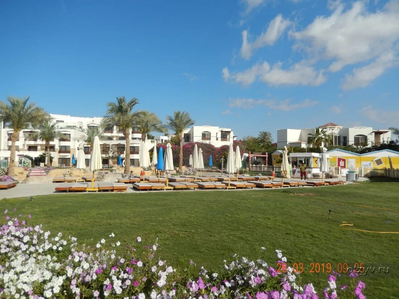 Амфора отель египет. Family amphoras beach. Family amphoras beach. Amphoras 5 шарм-эль-шейх. Shores amphoras 5 египет шарм-эль-шейх.