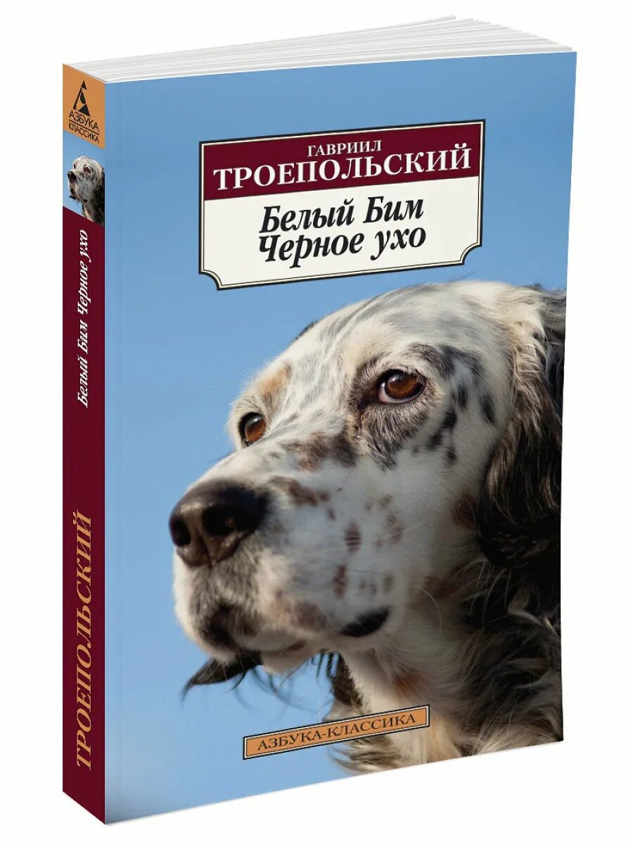 Белый бим черное ухо. Г н троепольский белый бим черное ухо. Основное содержание книги белый бим черное ухо. Троепольский белый бим черное ухо книга. Троепольский белый бим.