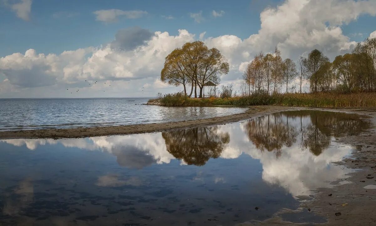 Плещееве сайты. Плещеево озеро Переславль Залесский. Парк Плещеево озеро Переславль Залесский. Плещеевское озеро в Переславле. Национальный парк Плещеево озеро Ярославской области.