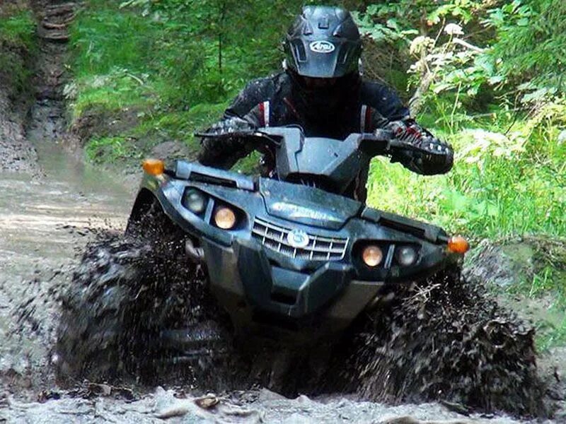 Atv. Brp квадро 700. Езда на квадроцикле. Квадроциклы для детей 4 лет. Квадроцикл алиса квадроцикл.